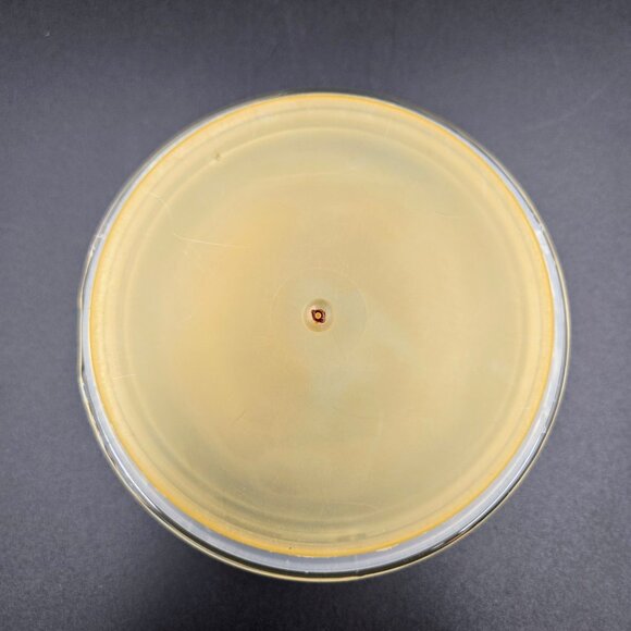 Vintage LE Smith Clear Glass Canister Atterbury Scroll Candy Cookie Jar Read - Picture 13 of 14